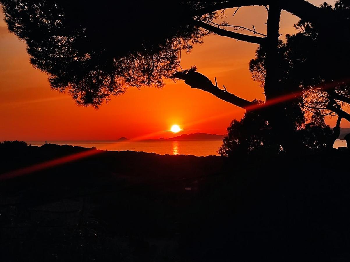 Studio Villa Le M Six-Fours-les-Plages Bagian luar foto