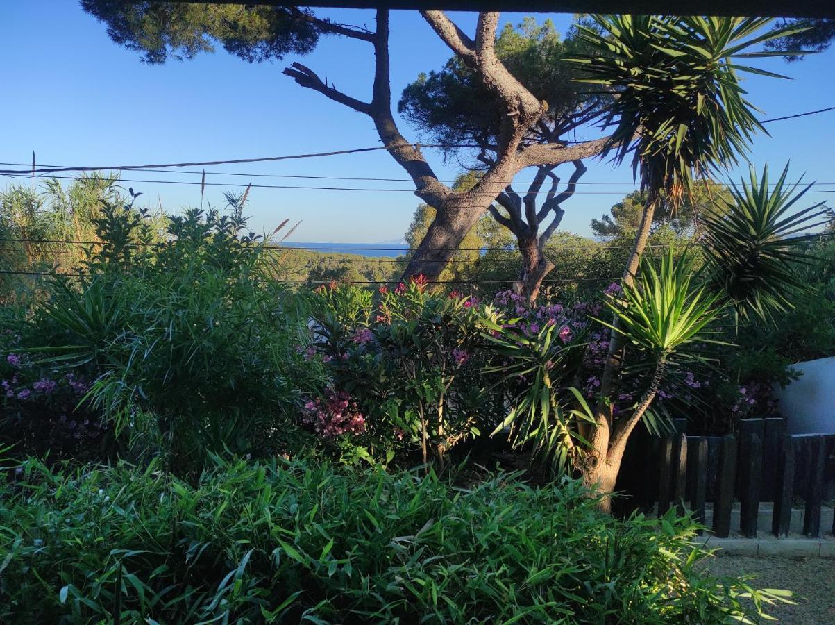Studio Villa Le M Six-Fours-les-Plages Bagian luar foto