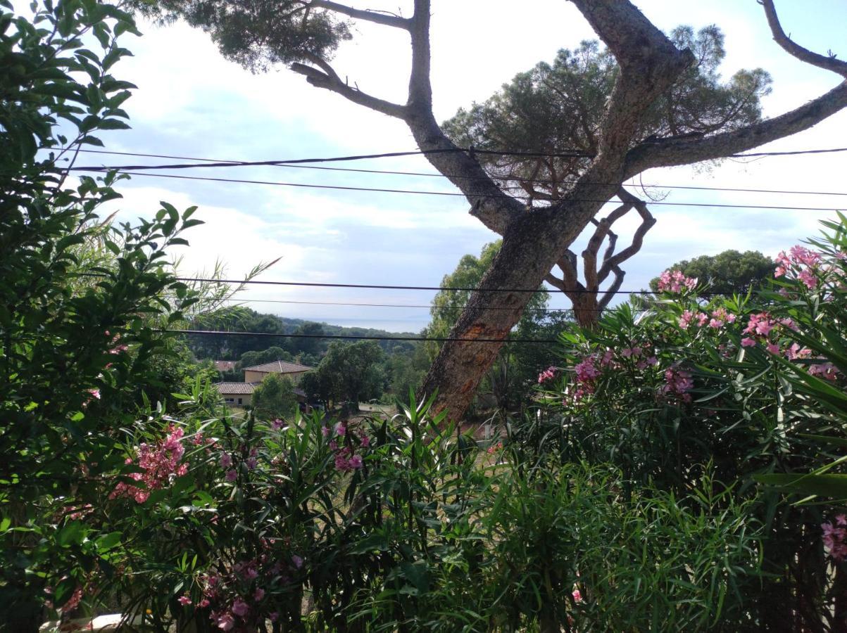 Studio Villa Le M Six-Fours-les-Plages Bagian luar foto